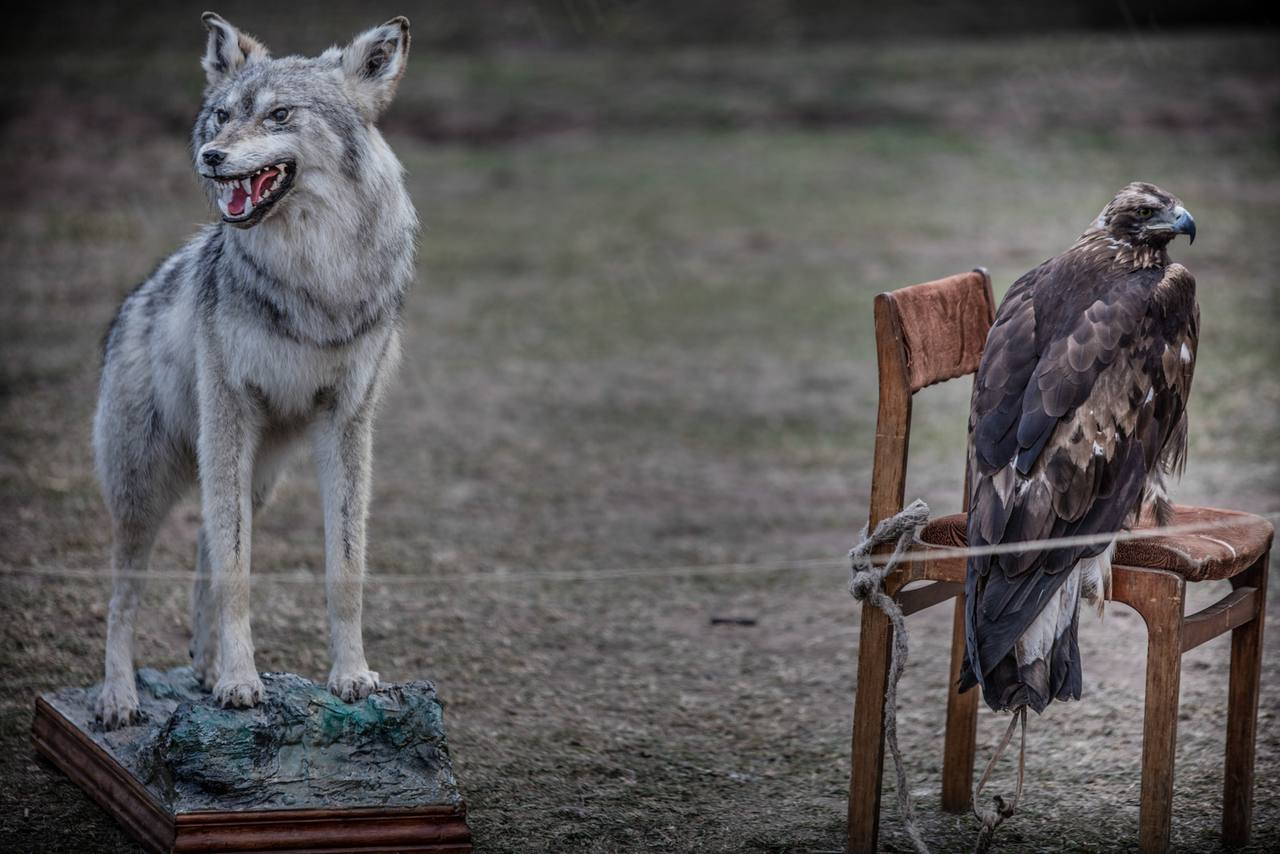 Nomad Games Kyrgyzstan